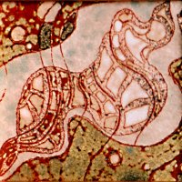 «Шум моря», медь, горячая эмаль, 20х20, 2005г.