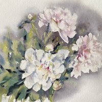 «Пионы», бумага, акварель, 27х39