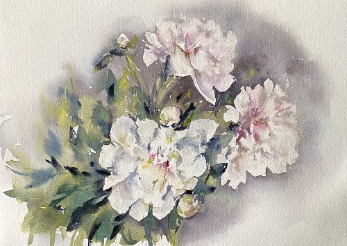 «Пионы», бумага, акварель, 27х39